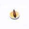 Blessings Vanilla & Marigold 22 Incense Cones and Ceramic Burner